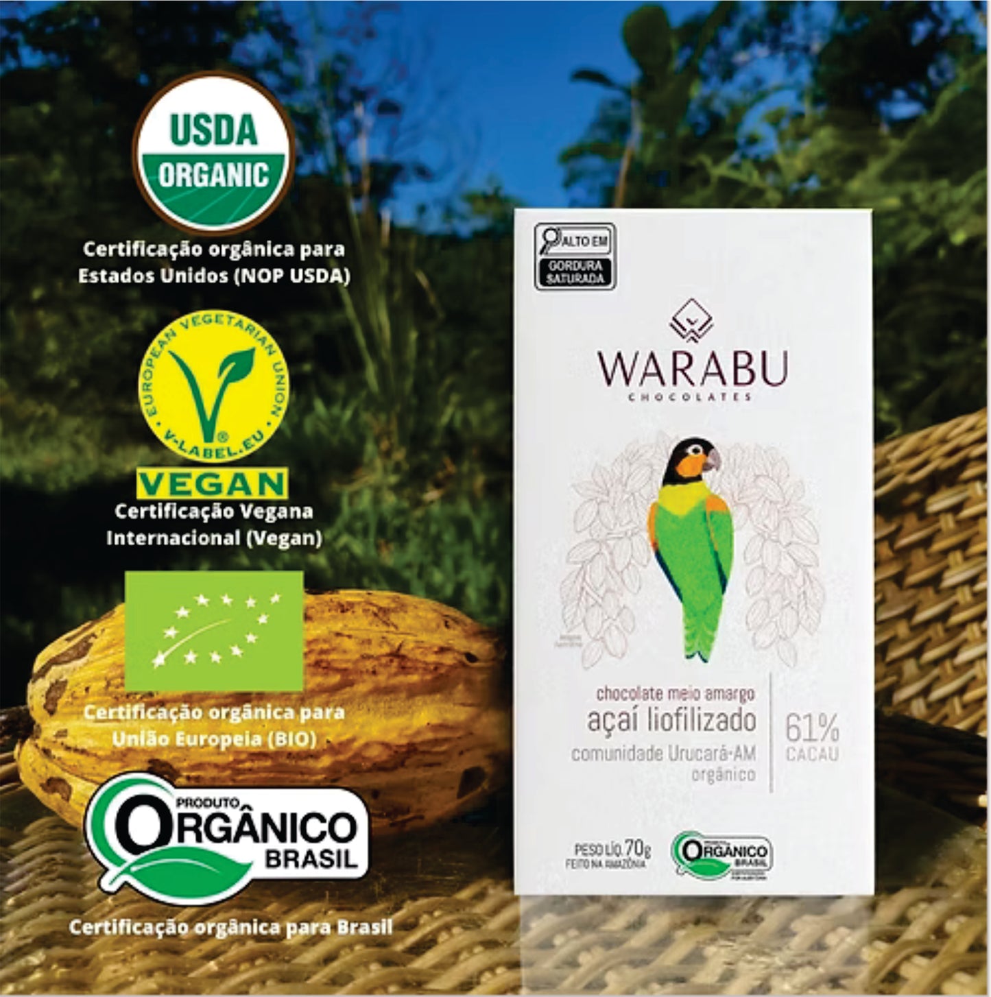 Chocolate Orgânico 61% Cacau Meio Amargo Açaí Liofilizado 70gr